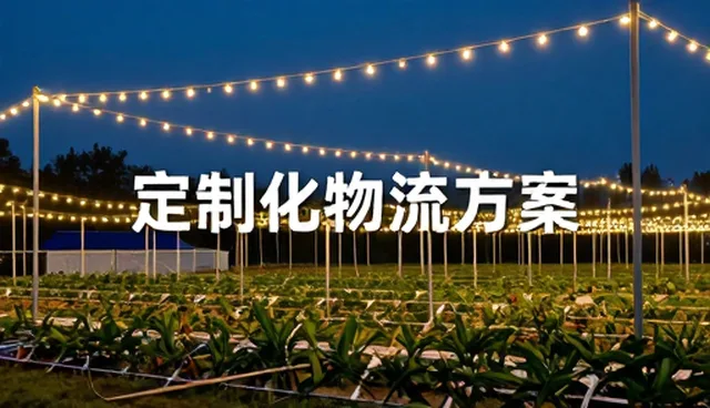 仓储成本控制中的常见问题与有效应对策略